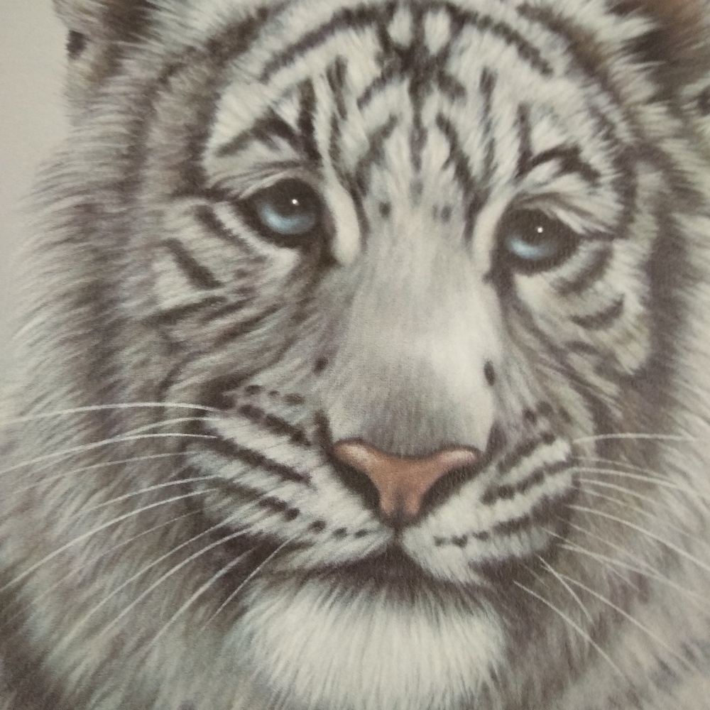 White Bengal Tiger Cub Harold Rigsby 937/975